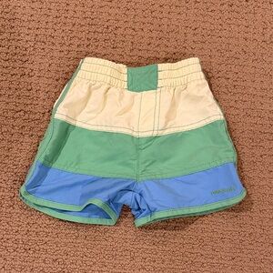 Patagonia Green and Blue Panel Shorts